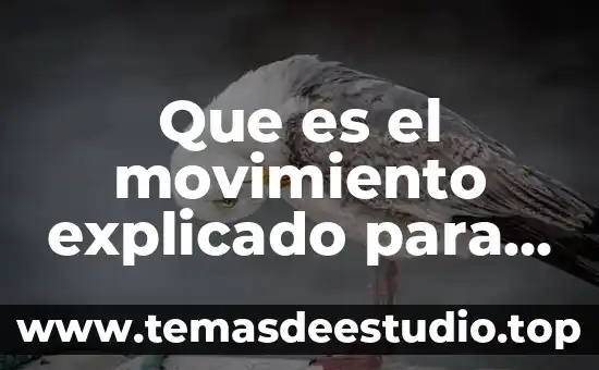 Que es el movimiento en filosofia 6 Que es el movimiento explicado para niños