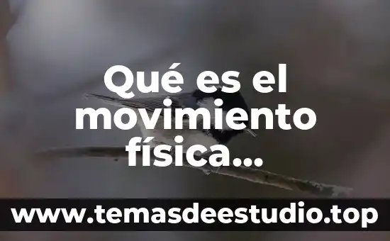 Qué es un movimiento de origen de flujo 8 Qué es el movimiento física secundaria