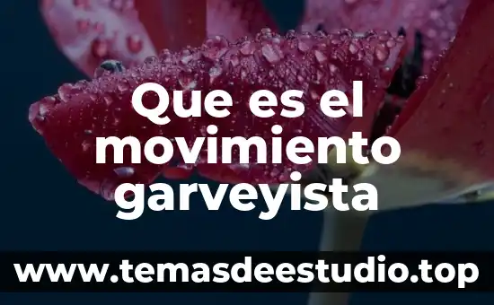 Que es el movimiento garveyista