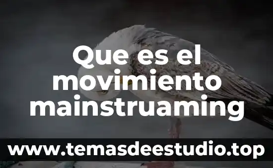 Que es movimiento isomerica.edu 3 Que es el movimiento mainstruaming