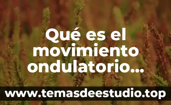 Qué es un modelo ondulatorio 7 Qué es el movimiento ondulatorio concepto en física