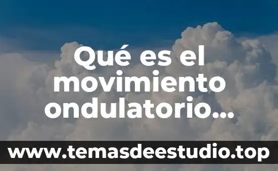 Qué es el movimiento ondulatorio concepto en física 3 Qué es el movimiento ondulatorio física