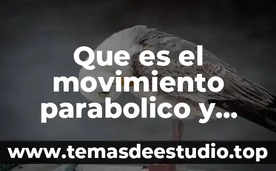 Que es un movimiento circular uniformemente acelerado 6 Que es el movimiento parabolico y como esta compuesto