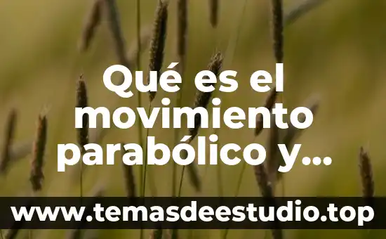 Que es el movimiento en filosofia 4 Qué es el movimiento parabólico y semiparabólico