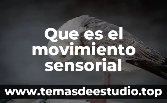 Que es el movimiento de la luna para niños 3 Que es el movimiento sensorial