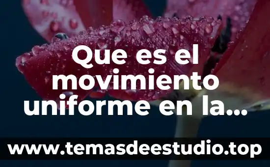 Que es el movimiento uniforme en la fisica