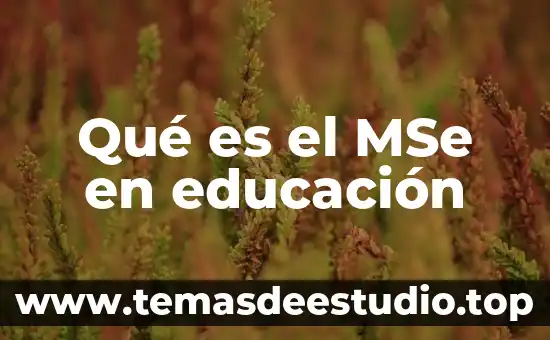 Que es la educacion en los valores 5 Qué es el MSe en educación