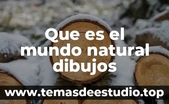 Que es el paradigma sistema mundo 3 Que es el mundo natural dibujos