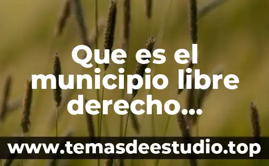 Que es derecho constitucional particular 4 Que es el municipio libre derecho constitucional