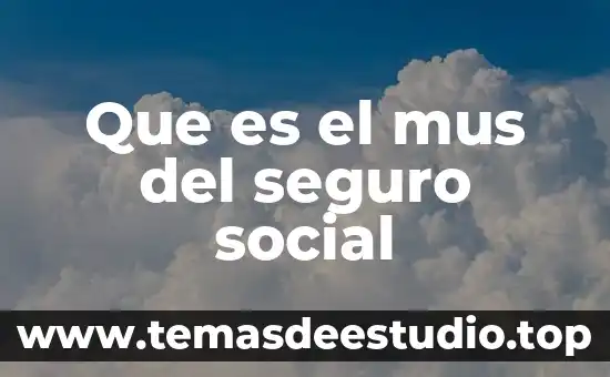 Que es el mus del seguro social