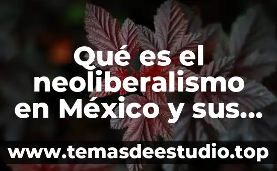 Qué es el neoliberalismo en México y sus presidentes
