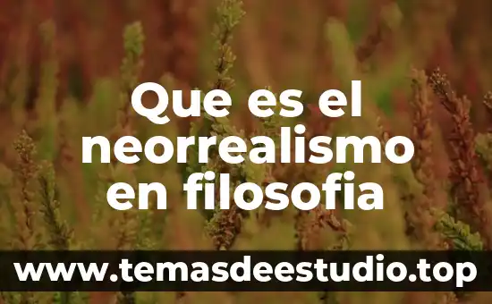 Análisis de qué es la filosofía 8 Que es el neorrealismo en filosofia