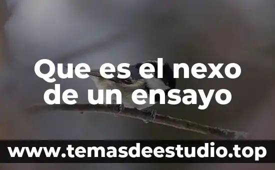 Queesuna sintesisi y que es un ensayo 7 Que es el nexo de un ensayo