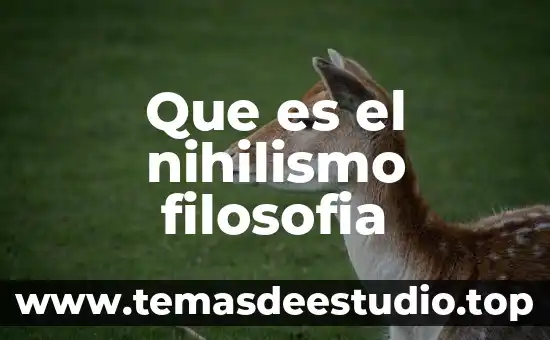 Qué es la filosofía cartesiana y su duda 7 Que es el nihilismo filosofia