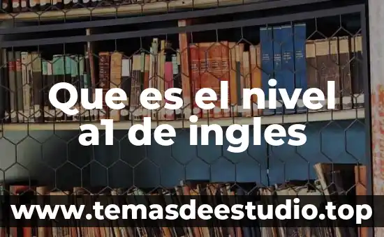 Que es manglar en ingles 5 Que es el nivel a1 de ingles