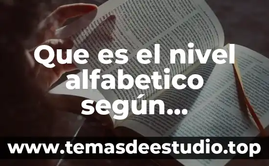 Que es el nivel alfabetico según margarita gomez palacios