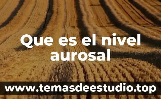 Que es el nivel aurosal