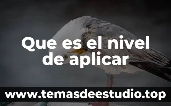 Que es el nivel de aplicar