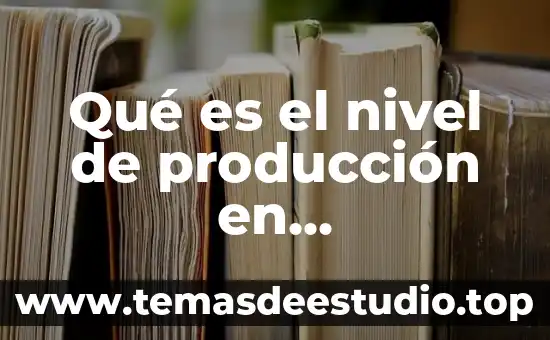 Qué es el nivel de producción en microeconomía
