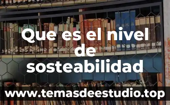 Que es el nivel de sosteabilidad