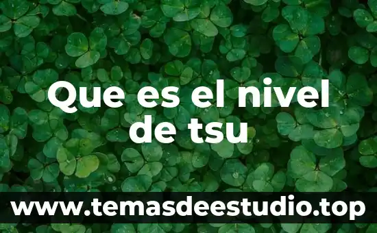 Que es el nivel de tsu