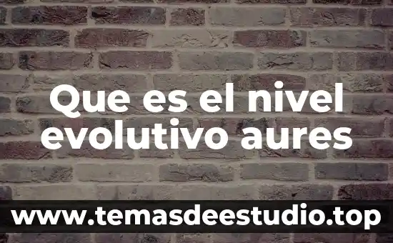Que es el nivel evolutivo aures