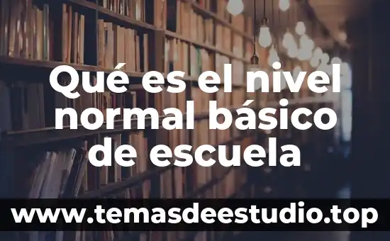 Qué es el nivel normal básico de escuela