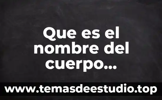 Que es saneamiento de un cuerpo de agua 7 Que es el nombre del cuerpo normativo