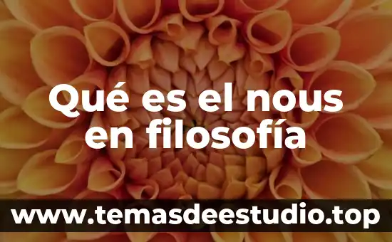 Qué es el nous en filosofía