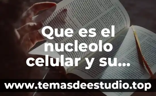 Célula animal que es el nucleolo 5 Que es el nucleolo celular y su funcion