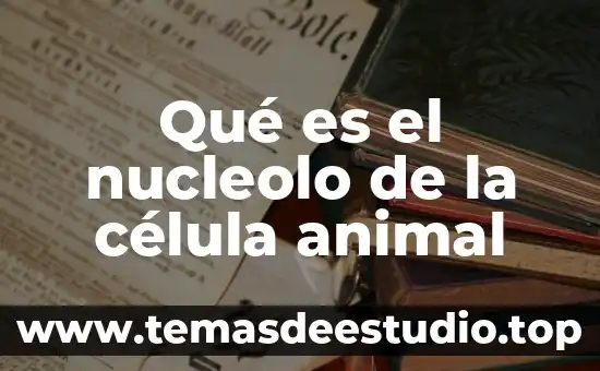 Célula animal que es el nucleolo 6 Qué es el nucleolo de la célula animal