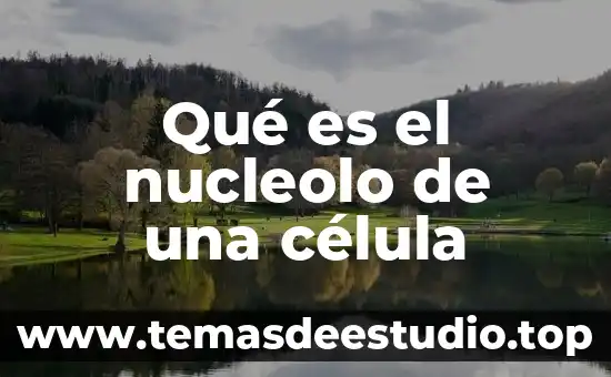 Célula animal que es el nucleolo 3 Qué es el nucleolo de una célula