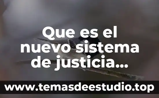 Que es el nuevo sistema de justicia penal