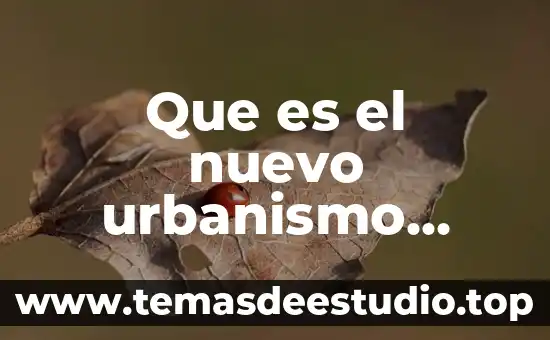 Que es el nuevo urbanismo articulo