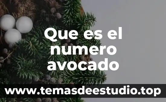 Qué es un número factorable 7 Que es el numero avocado