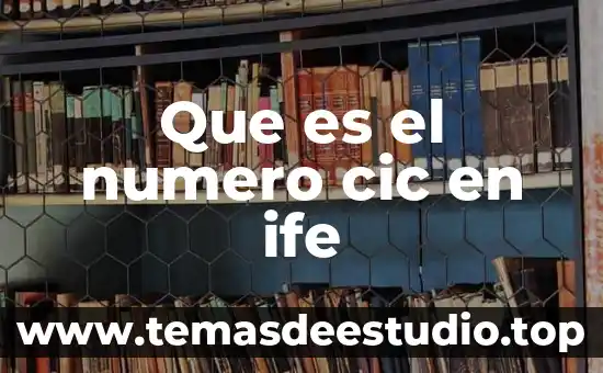 Para que es útil conocer el número de Reynolds 7 Que es el numero cic en ife