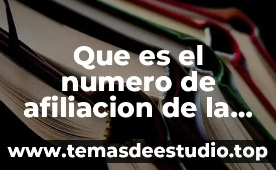 Qué es el número patronal del trabajo 3 Que es el numero de afiliacion de la eps