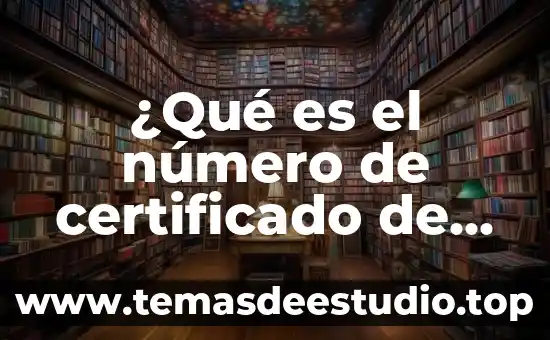 Que es prosesamiento de texto 4 ¿Qué es el número de certificado de la fiel?