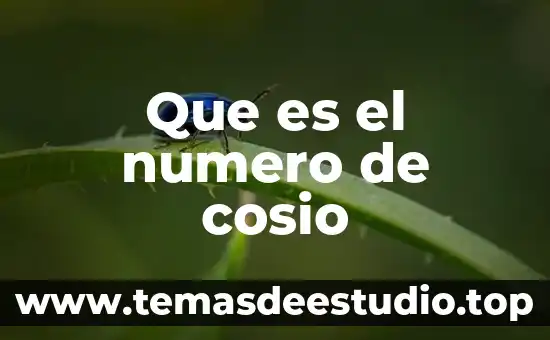 Número de control BNC 6 Que es el numero de cosio