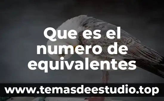Qué es el número de embarazos 6 Que es el numero de equivalentes