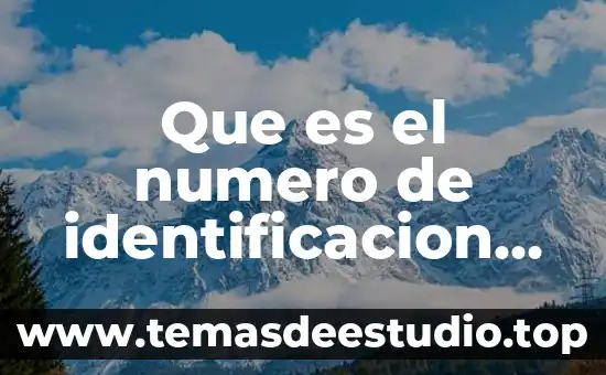 Qué es número gráfico 5 Que es el numero de identificacion semarnat