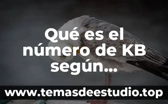 Que es el sistema de localizacion de windows 7 Qué es el número de KB según Windows