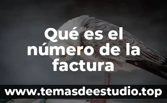 Qué es número de cambrado 6 Qué es el número de la factura
