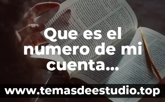 Qué es número de cuenta cartoon network 6 Que es el numero de mi cuenta principal