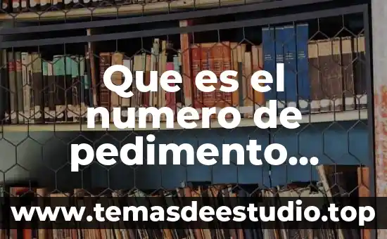 Qué es el número en base de datos 7 Que es el numero de pedimento aduanal