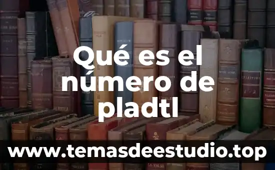 Qué es número en español 5 Qué es el número de pladtl