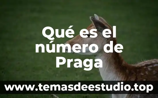 Qué es el número en base de datos 4 Qué es el número de Praga