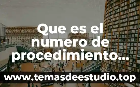 Qué es el número de registro fiscal 8 Que es el numero de procedimiento en siroc