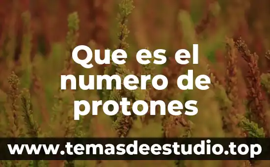 Qué es un número factorable 8 Que es el numero de protones