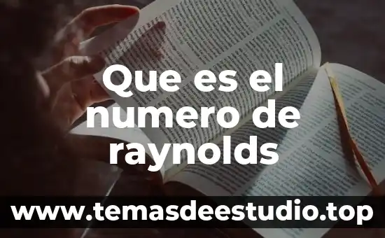 Qué es el número IBAN de Bancomer México 8 Que es el numero de raynolds